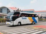Harga Tiket Damri Royal Class Jakarta Malang, Bisnis dan Eksekutif