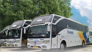 Jadwal dan Harga Tiket Bus Damri Mudik Lebaran Probolinggo 2023