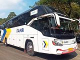 Jadwal dan Harga Tiket Bus Damri Wonosobo Kemayoran Jakarta