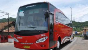 Jadwal dan Harga Tiket Bus Damri dari Cirebon ke Banyuwangi dan Sebaliknya Terbaru 2023