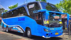 Jadwal dan Harga Tiket Damri Jakarta Cirebon 2023