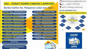Nomor Telepon Damri Lampung Terbaru